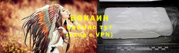 стаф Абаза