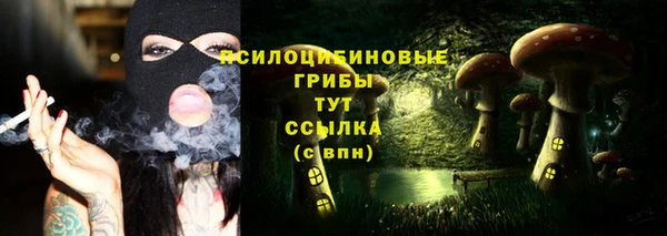 стаф Абаза