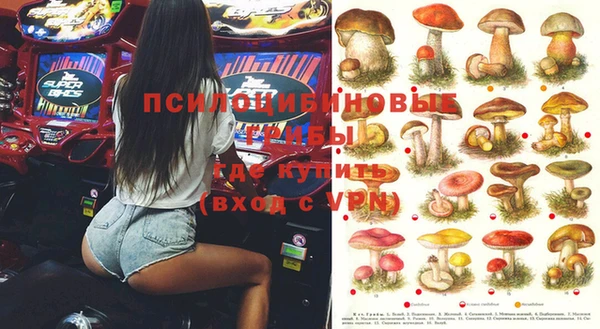 стаф Абаза
