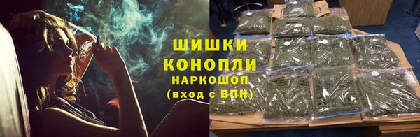 стаф Абаза