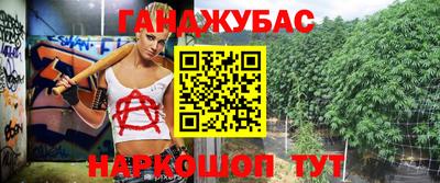шишки Новодвинск