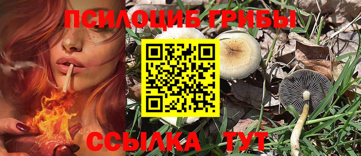 Галлюциногенные грибы GOLDEN TEACHER Старая Купавна