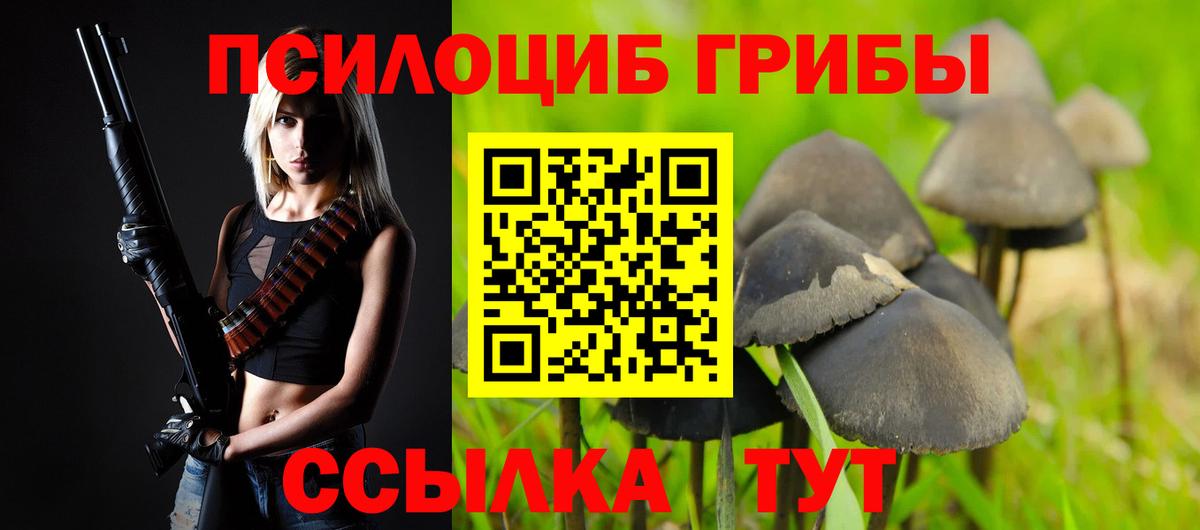 Псилоцибиновые грибы GOLDEN TEACHER  Вход с VPN  Старая Купавна 